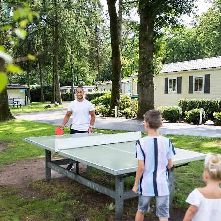 Chalet Modern With Dishwasher, In The Middle Of De Veluwe
