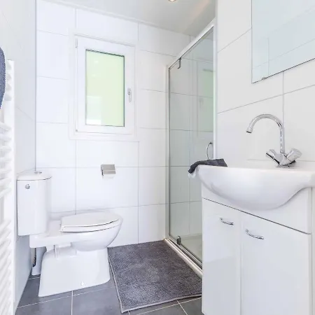 Modern With Dishwasher, In The Middle Of De Veluwe Chalet